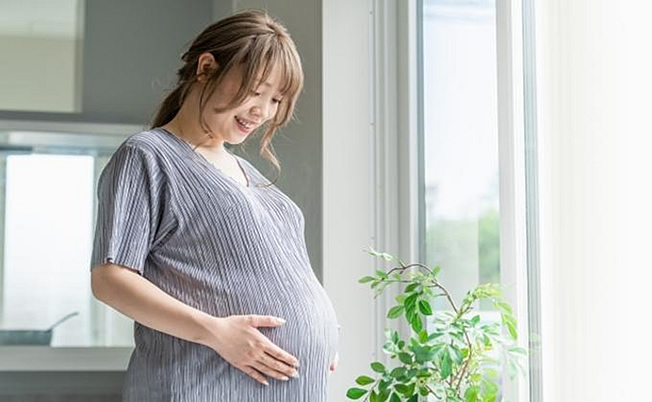 こども未来戦略・加速化プラン(妊娠~子育て)