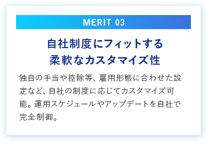 MERIT 03