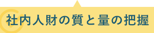 社内人財の質と量の把握